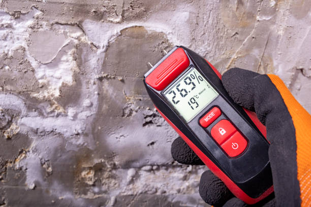 Attic Mold Removal in Fresno, TX