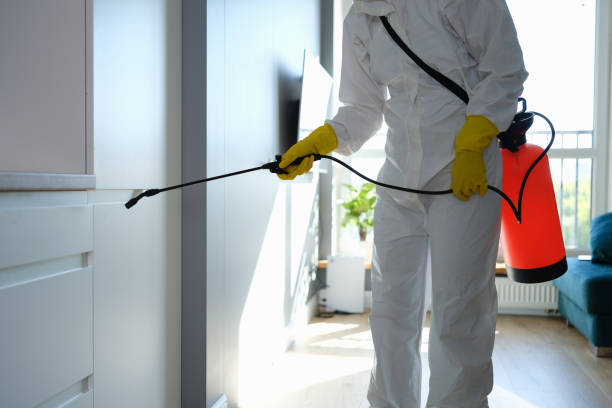 Best Mold Cleaning Services  in Fresno, TX