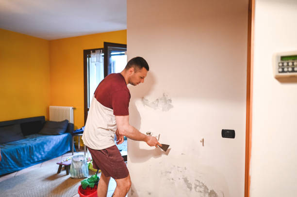 Home Mold Removal in Fresno, TX